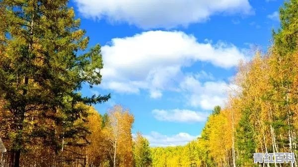 10月份最适合去哪里旅游