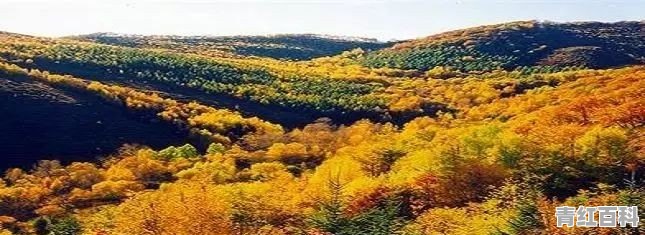 10月份最适合去哪里旅游