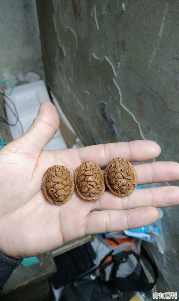 学什么手艺好