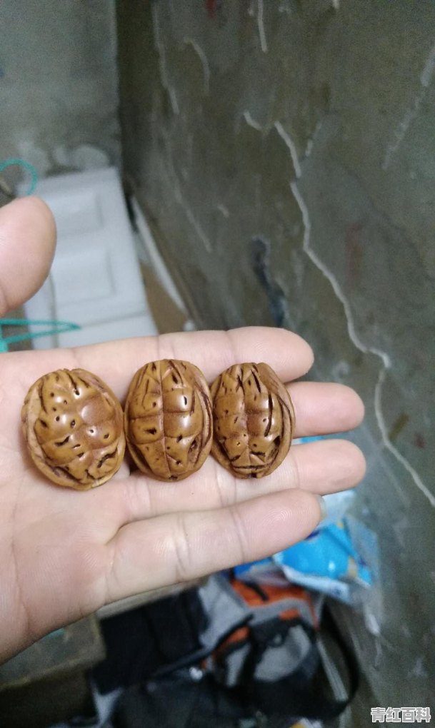 学什么手艺好