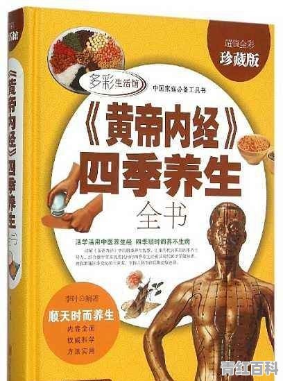 气血虚如何调理最简单