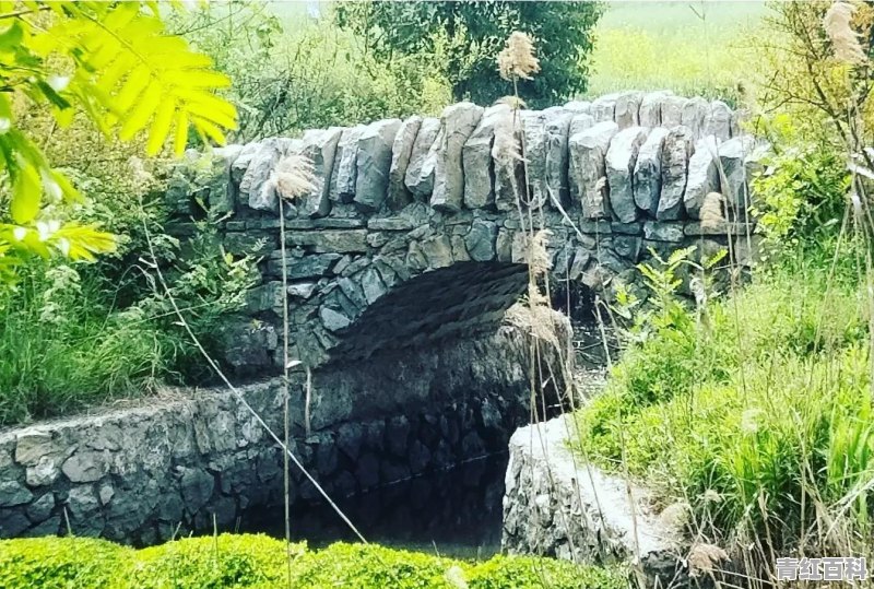 如何理解什么是生态旅游资源
