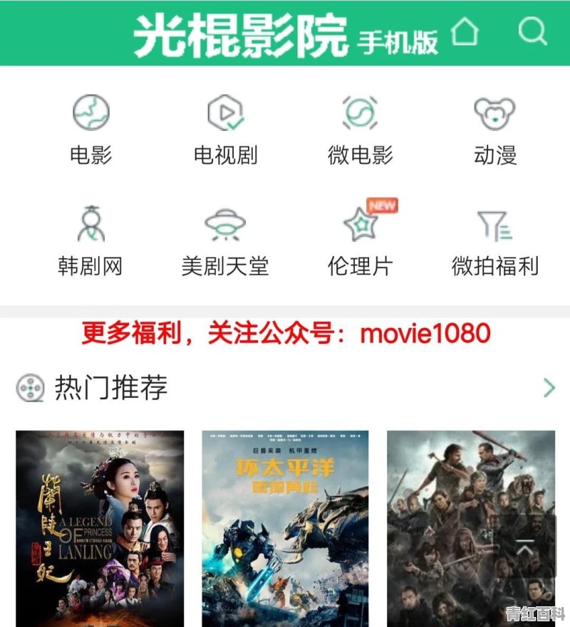 哪里可以看到李小龙原版电视剧《青蜂侠》