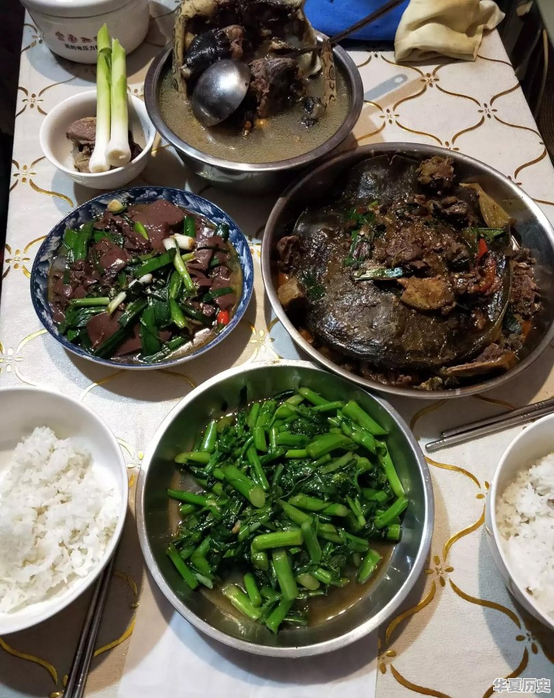 广东油茶树苗基地 - 华夏历史