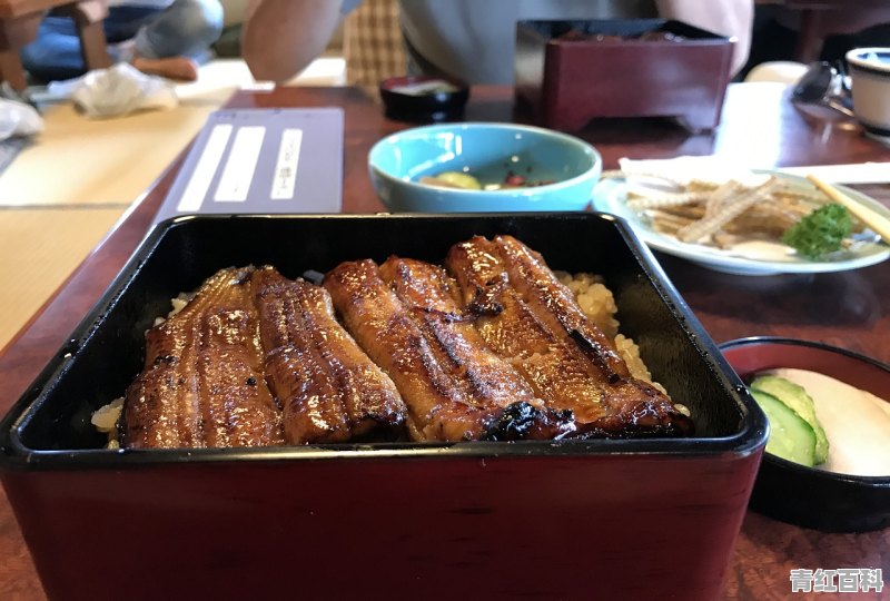 怎么去 有乐町日本料理的地址 地图