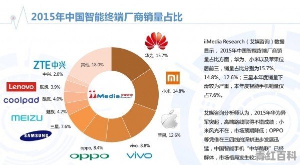 雷军说的十个季度重回国内第一，有几成把握