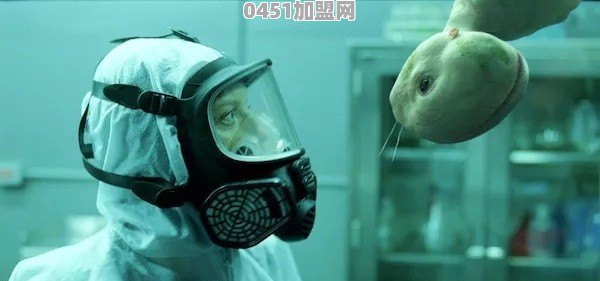 口袋黑白2加盟大道