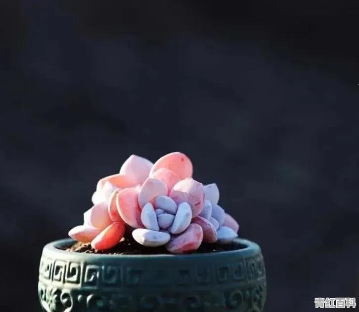 家里有一个能力很强 但性格很强势的孩子 该如何教育