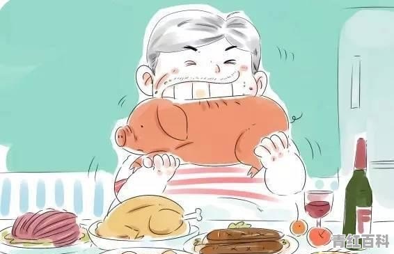 喜欢吃肉，可又不消化应该怎么办？饮食方面需要注意哪些问题