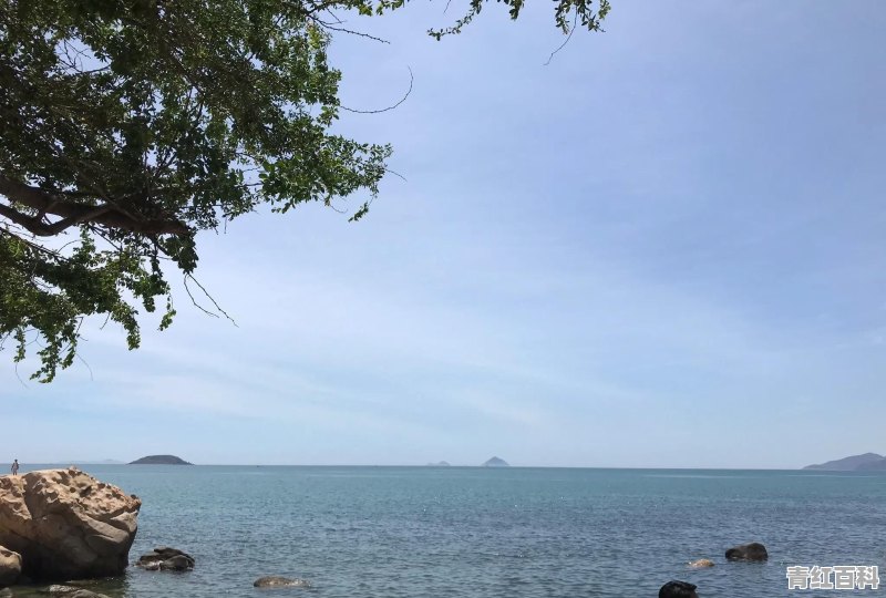 杭州的许某某心思非常缜密，但他就没有露出啥漏洞吗？警察是如何把他锁定为嫌疑人的