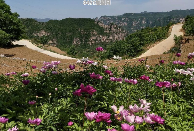 好想带父母去爬山，河南区域的有什么比较好的景点推荐