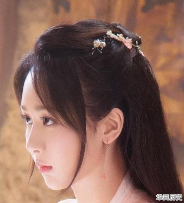 中国历史人物模仿秀女主角 - 华夏历史