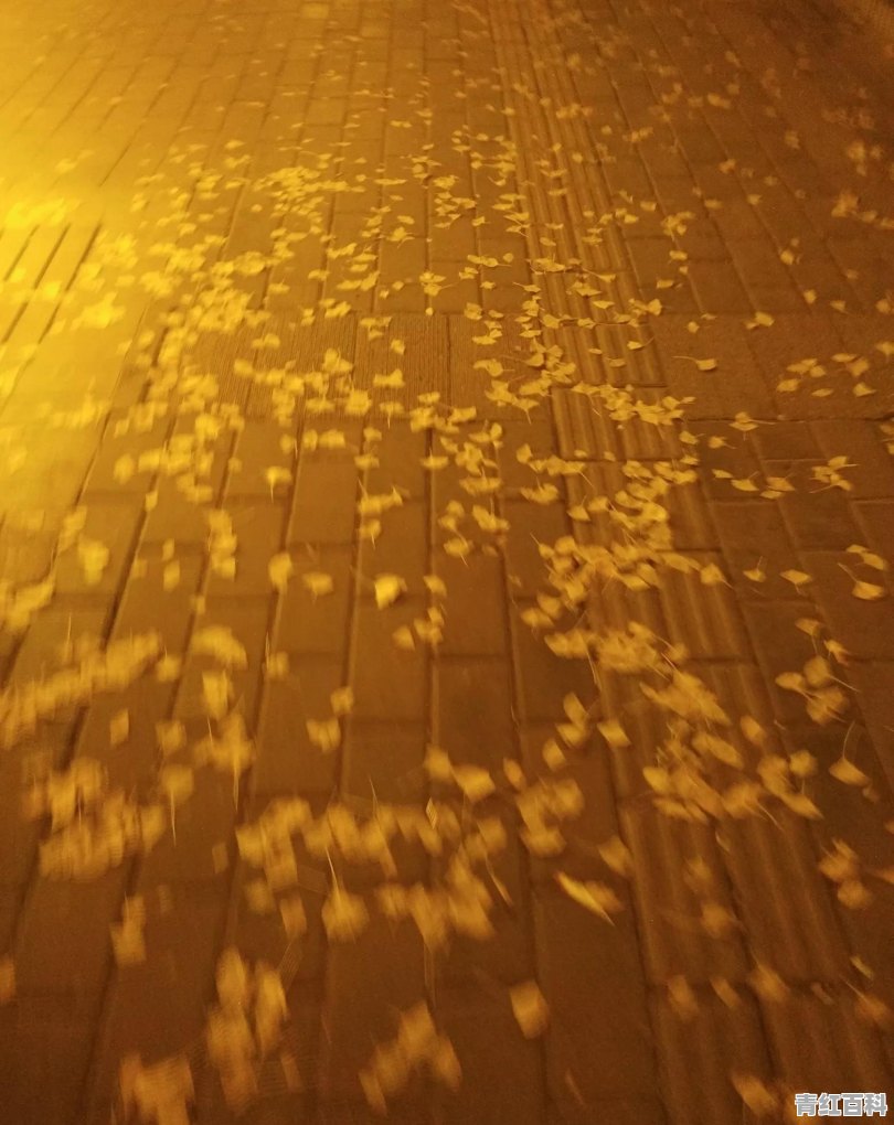 有一群很恶心的亲戚是一种什么样的体验
