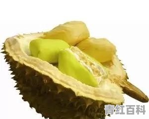 榴莲剥开后肉没熟怎么办