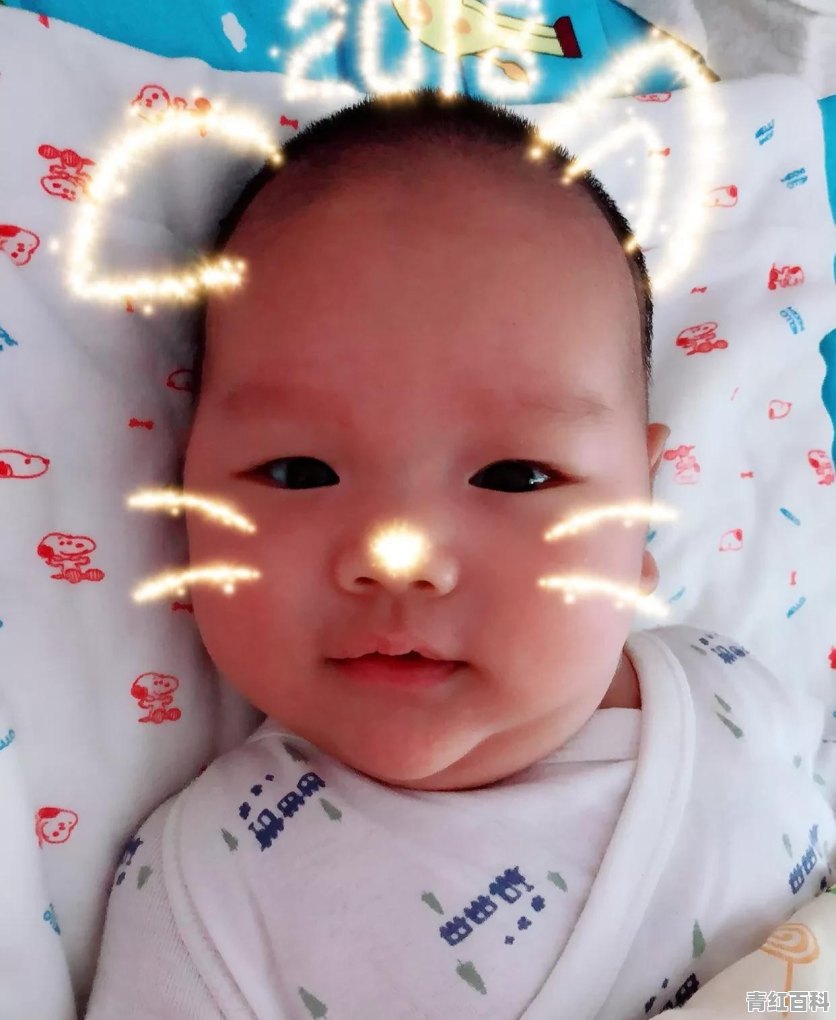 我刚怀孕感冒了 鼻子不通气 可以吃什么药呢