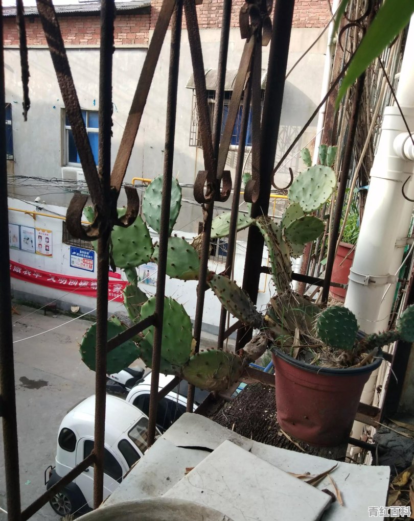 扁桃体发炎请问有什么好办法可以早点好起来，请各位大佬给个意见呗，还有平时有什么要注意，比如吃的