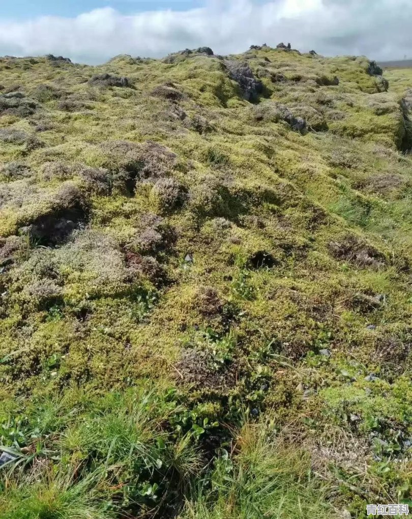 冰岛旅游大概多少钱