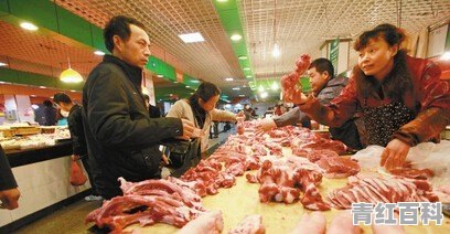 猪价全面暴跌！猪肉降入20元时代，10元猪肉还远吗