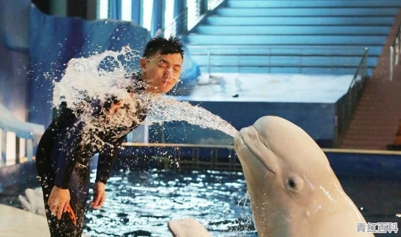 上海长风海洋世界好玩还是上海海洋水族馆好玩