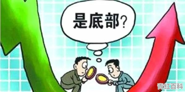 花20多万买“绿牌车”的人 都后悔了吗？到底值不值