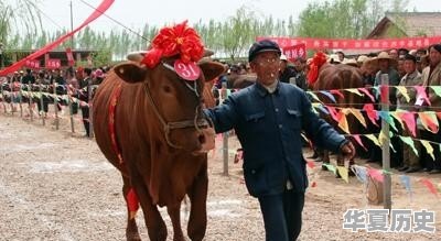 睢宁过年有什么独特风俗