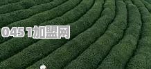 如何理解茶文化