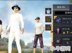 和平精英西装兔子皮肤怎么获得 - 小牛游戏