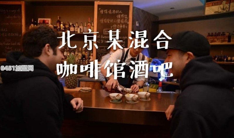 可以不可以把酒吧，咖啡，西餐融入在一个模式，那怎么去分割它们之间的比例