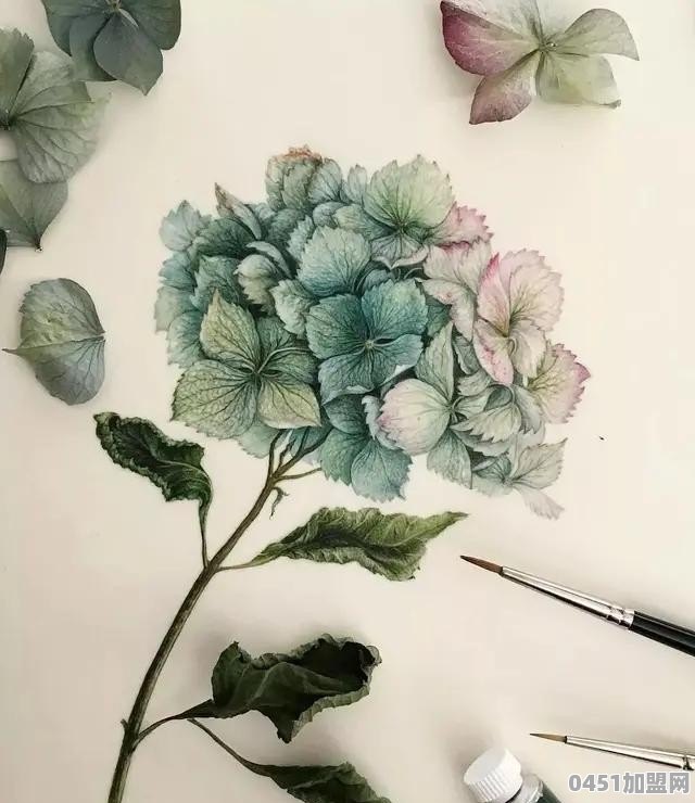 娄底都可奶茶加盟电话