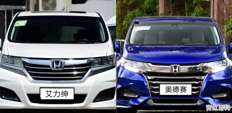 在荒山野岭中 你遇到过什么尴尬的事