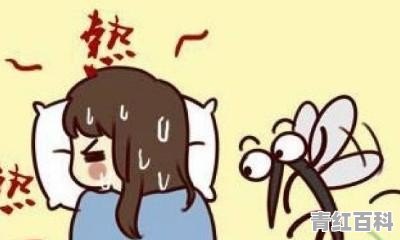 晚上睡觉时蚊子骚扰怎么办