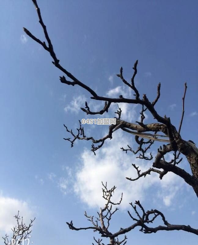 南京欧亚出行怎么加入