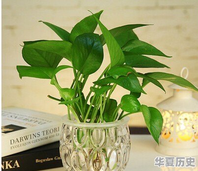曹操的儿子有几个？叫什么名字？谁是最后的赢家？曹昂死在那 - 华夏历史