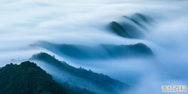 东营市黄河口海水浴场需要门票吗
