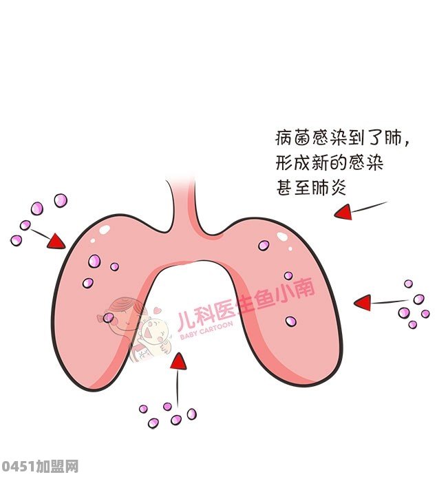 激蜜加盟热线电话号码