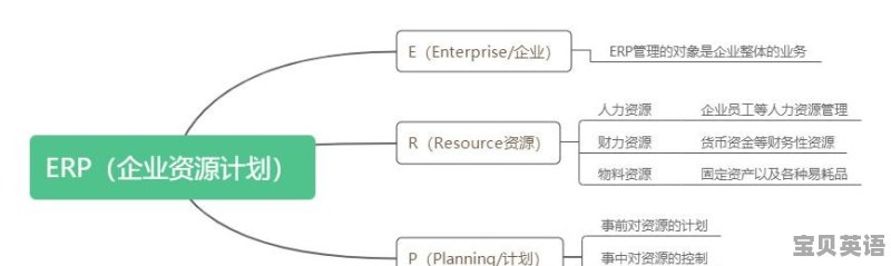 ERP是什么意思
