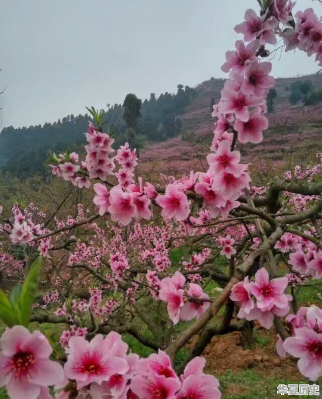 东山瑶族村 - 华夏历史