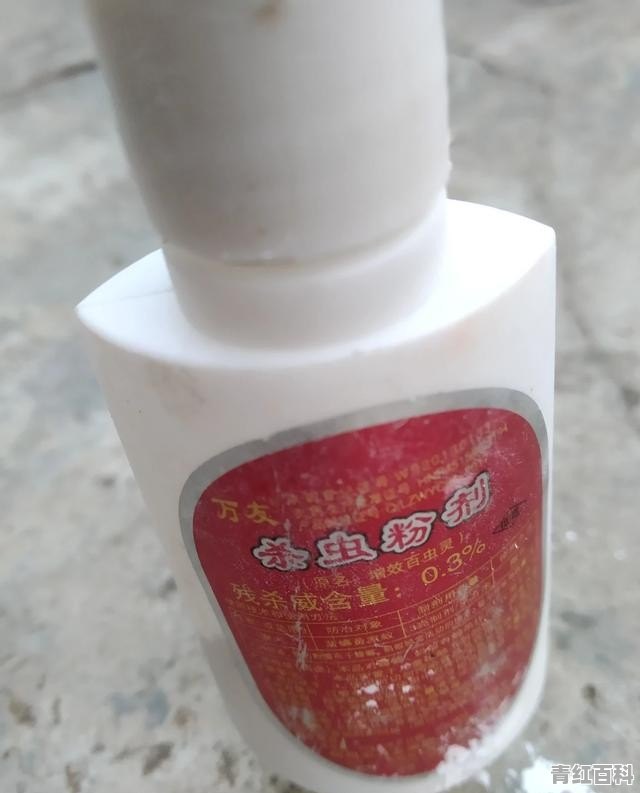 家里蚂蚁多怎么办?有什么兆头