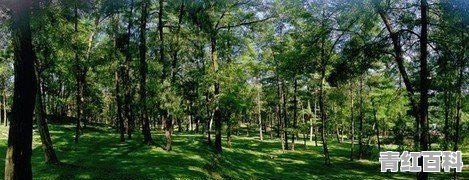 山门上特色旅游景点