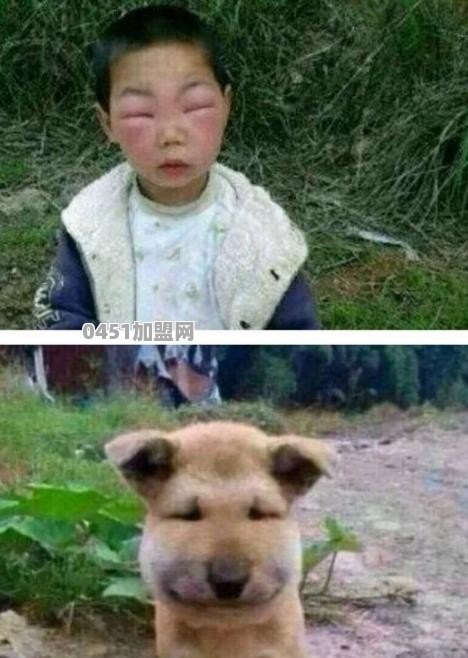 茶雨奶茶加盟费多少钱