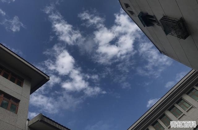 手机摄像头和相机摄像头的不同