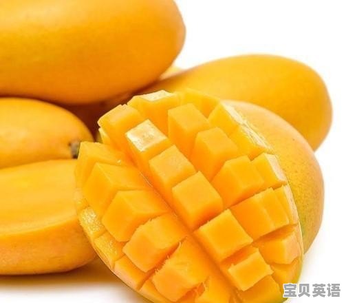 芒果干用英语怎么说 - 宝贝英语