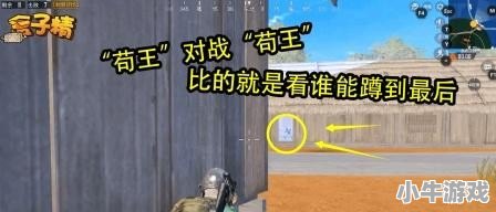 上铂金之路和平精英会封号吗 - 小牛游戏