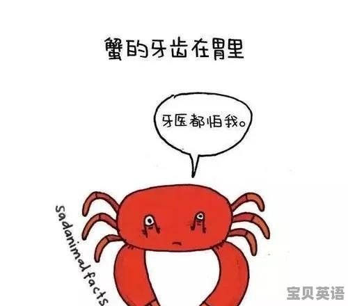 广西大学考研英语四级没过怎么办