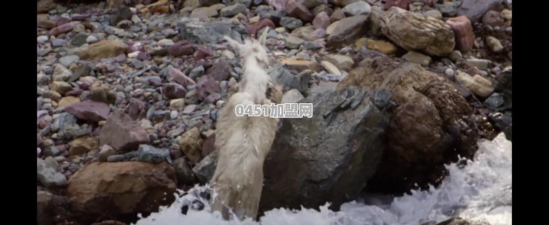 手工辣条的利润怎么样