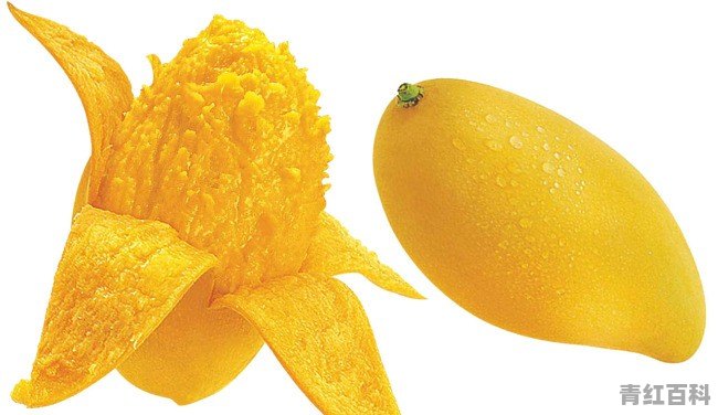 吃芒果过敏了该怎么办