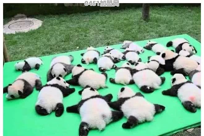 你听过哪些惊恐的故事