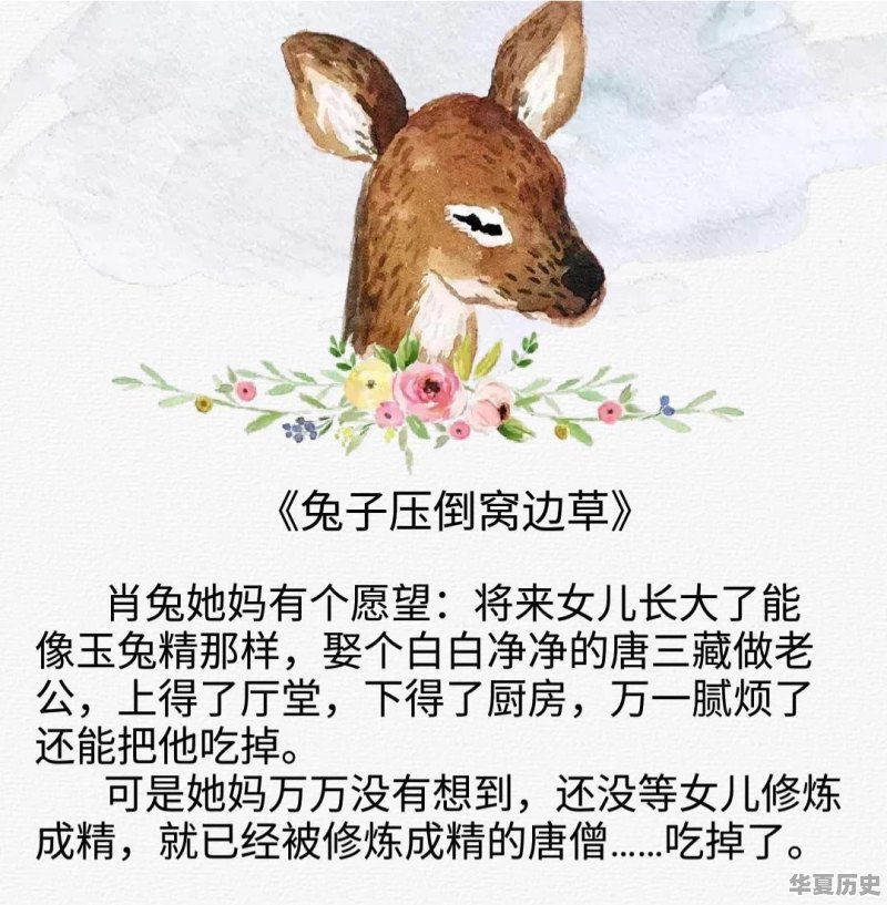直播讲唐代历史故事的博主 - 华夏历史