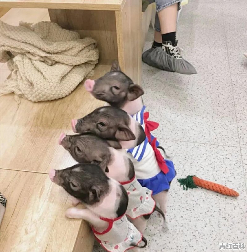 月子出汗多怎么办小妙招