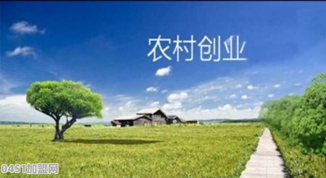 年轻人如何在农村创业